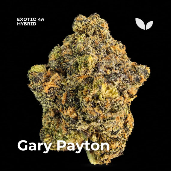 Gary Payton weed strain delivery phuket