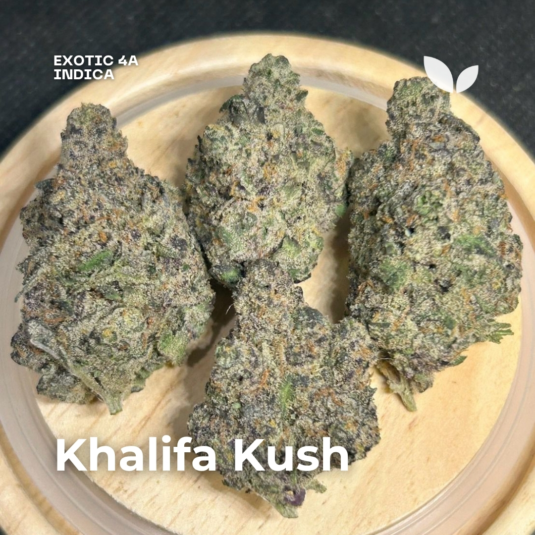 Khalifa Kush strain phuket Khalifa Kush strain phuket