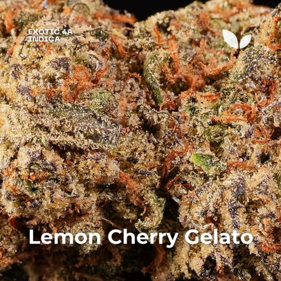Lemon Cherry Gelato weed strain delivery phuket 4