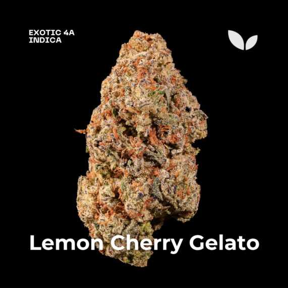 Lemon Cherry Gelato weed strain delivery phuket