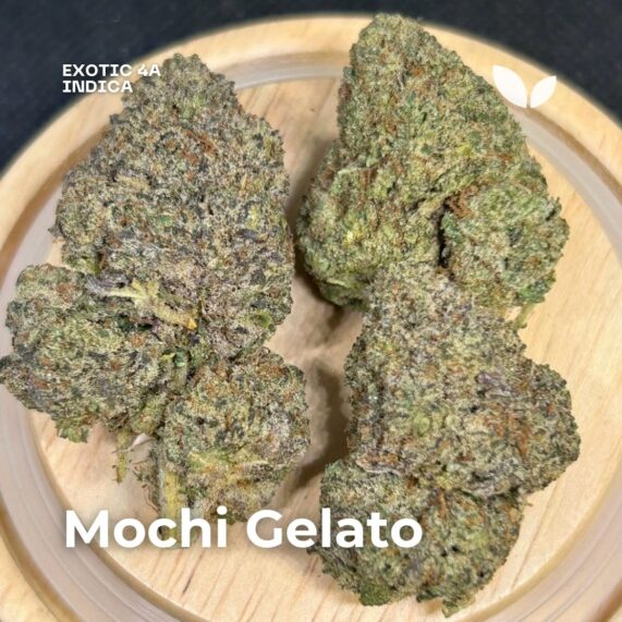 Mochi Gelato strain phuket delivery