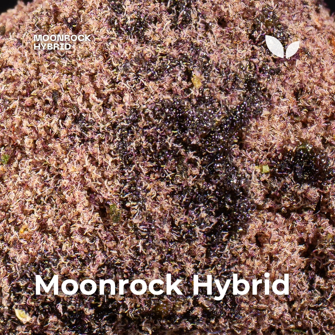 Moonrock Hybrid 3 Moonrock Hybrid 3