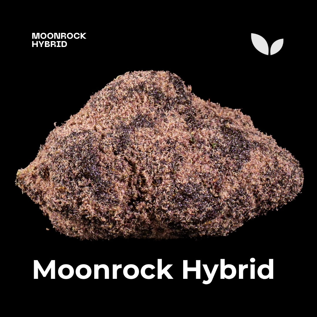 Moonrock Hybrid 4 Moonrock Hybrid 4