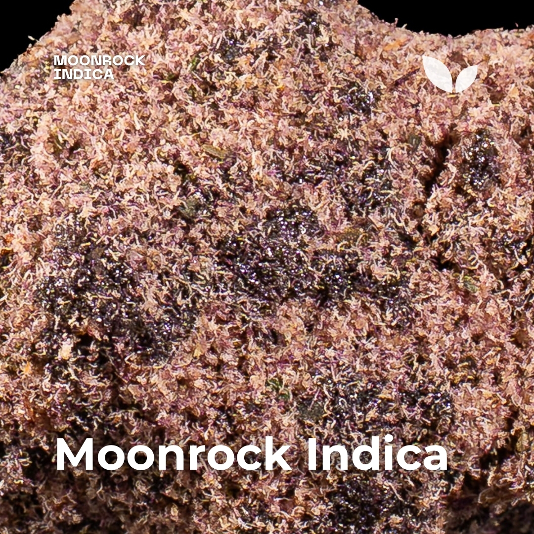 Moonrock Indica 3 Moonrock Indica 3