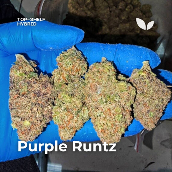 Purple Runtz weed phuket delivery hybrid