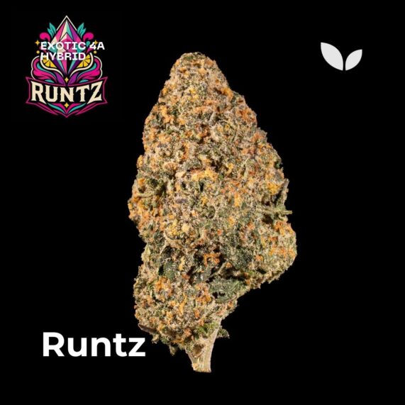 Runtz strain weed phuket delivery