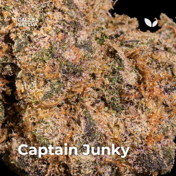 Captain Junky 2 weed strain weed delivery phuket