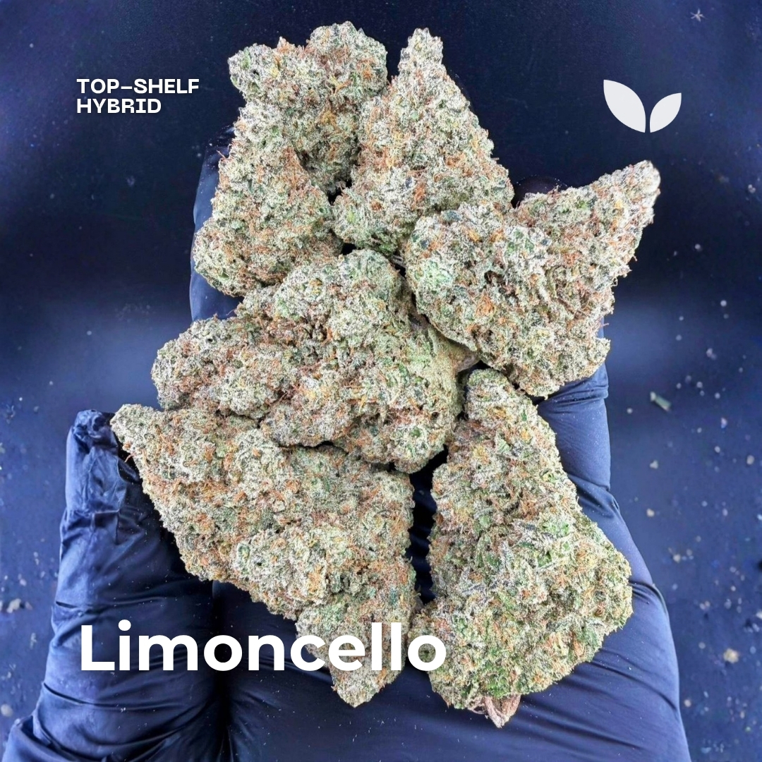 Limoncello weed strain phuket Limoncello weed strain phuket