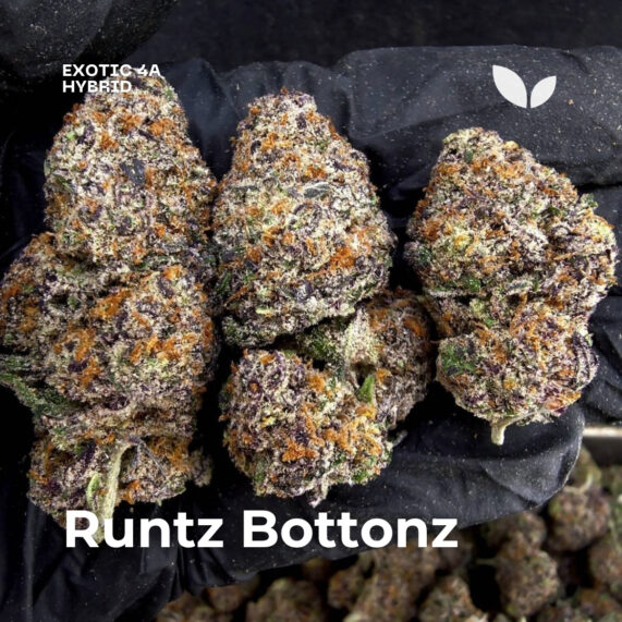 Runtz Bottonz weed strain phuket delivery