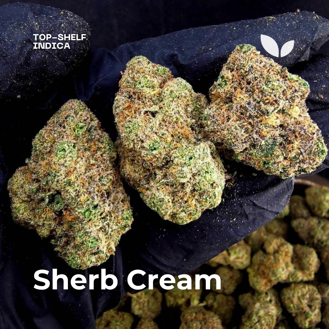 Sherb Cream weed strain phuket Sherb Cream weed strain phuket