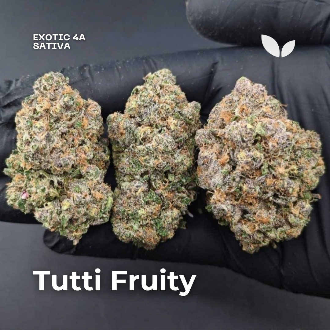 Tutti Fruity weed strain phuket delivery Tutti Fruity weed strain phuket delivery