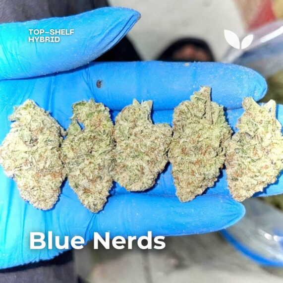 Blue nerds weed strain phuket delivery hybrid