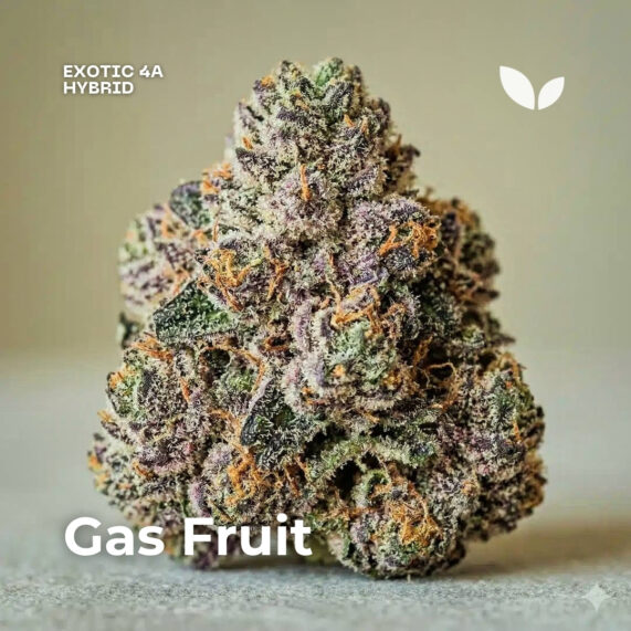 Gas Fruit weed strain phuket delivery hybrid exotic 4a