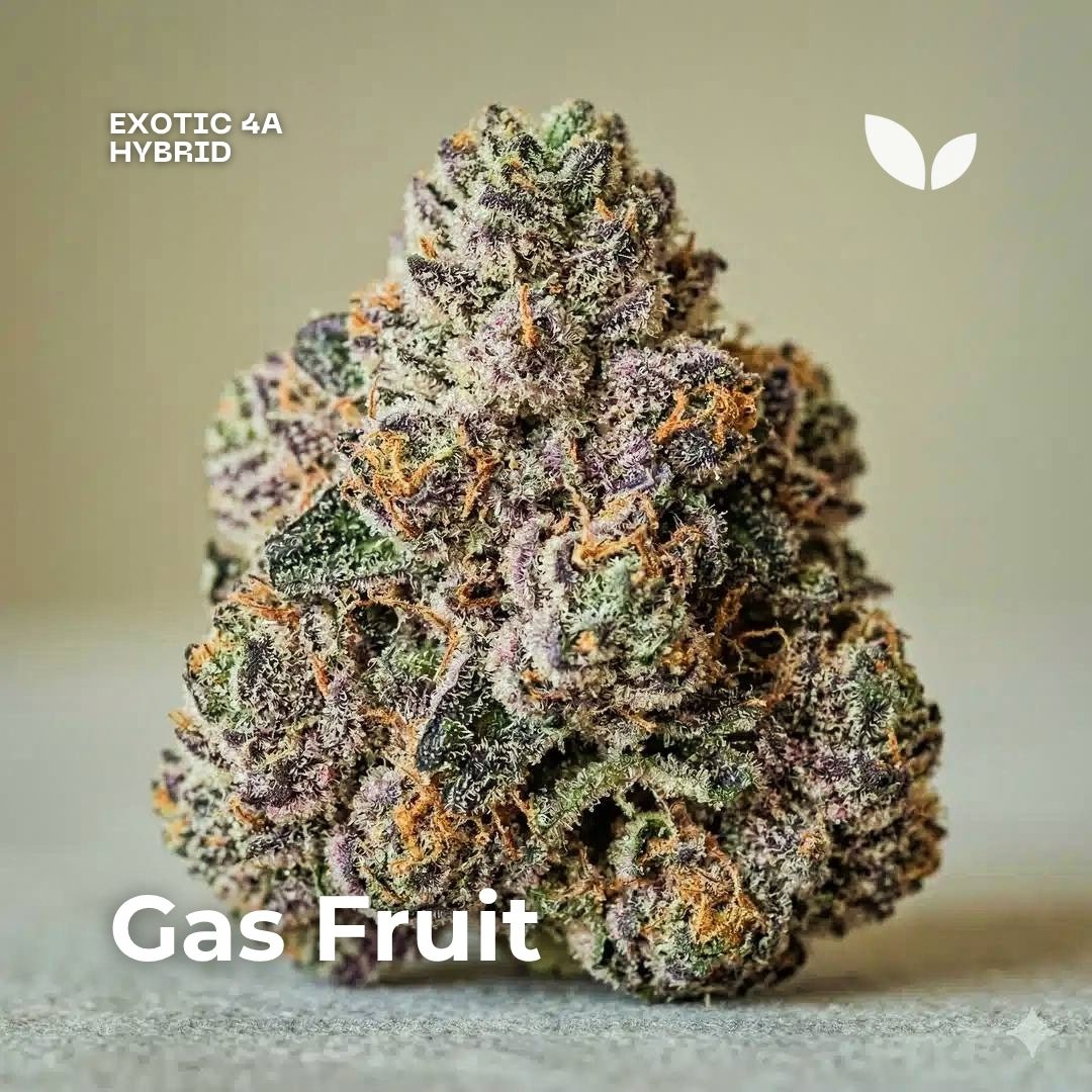 Gas Fruit weed strain phuket