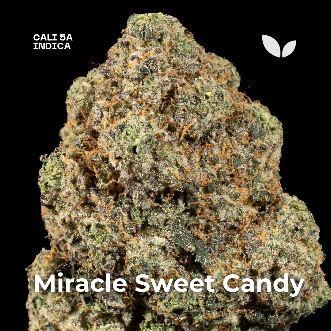 Miracle Sweet Candy weed strain 2 Miracle Sweet Candy weed strain 2