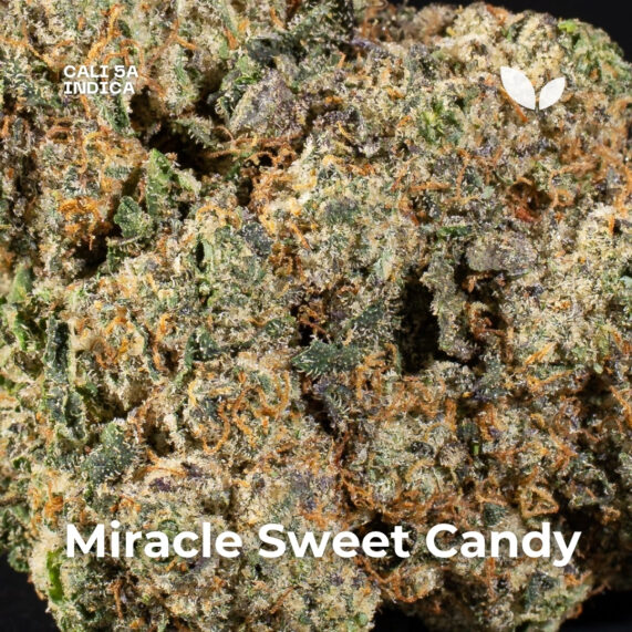 Miracle Sweet Candy weed strain delivery phuket cali 5a indica
