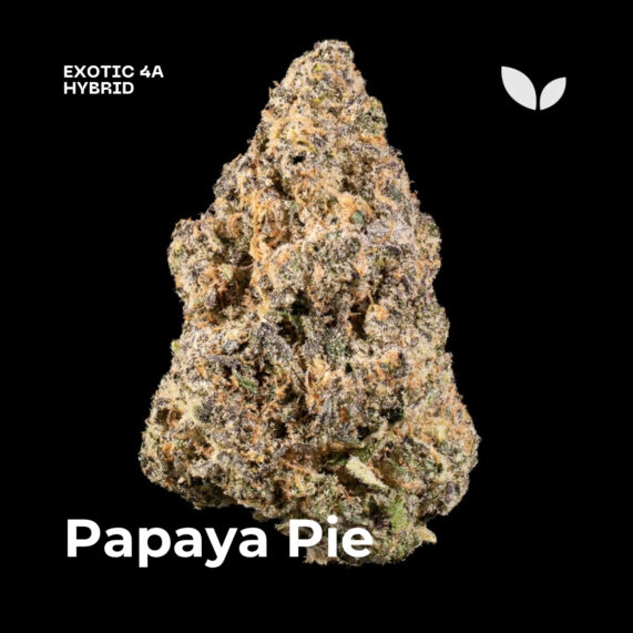 Papaya Pie weed strain phuket delivery hybrid exotic 4a
