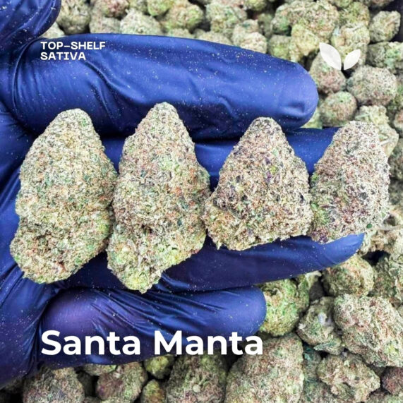 Santa Manta weed strain delivery phuket