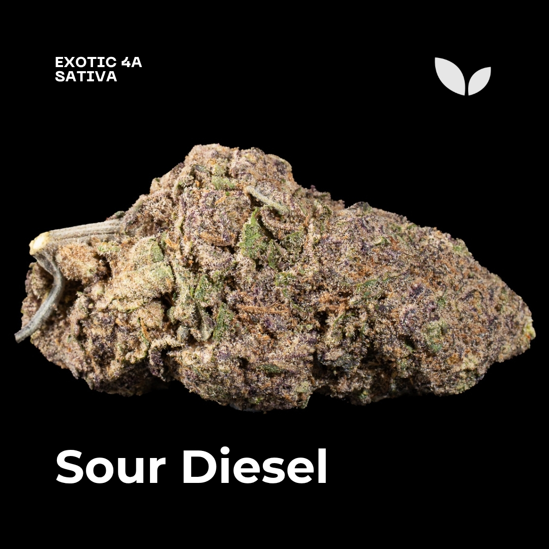 Sour Diesel weed strain