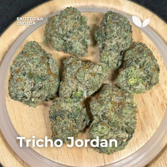 Tricho Jordan weed strain phuket delivery indica exotic 4a