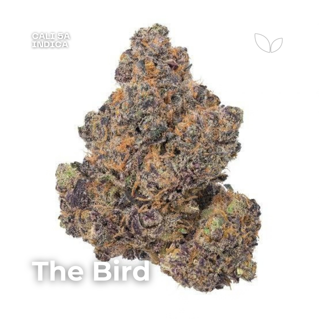 the bird weed strain phuket the bird weed strain phuket
